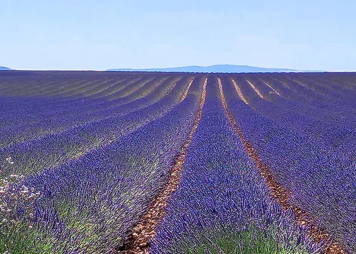 Apartment Meuble Classe 2 Etoiles - 30m² *